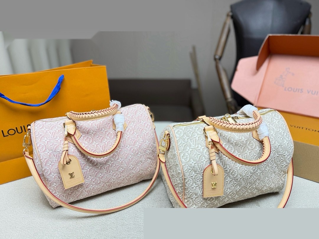 LV Bag 510