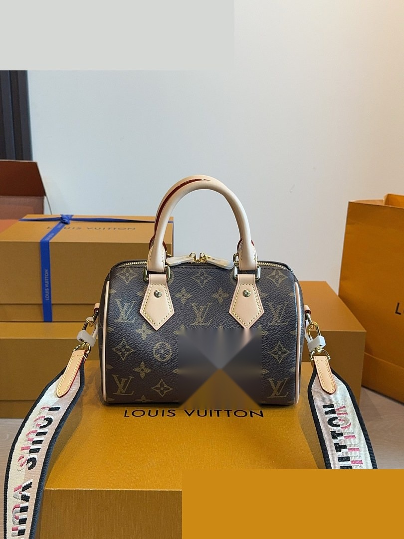 LV Bag 531