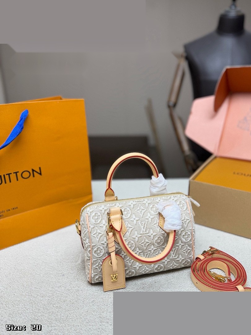 LV Bag 542