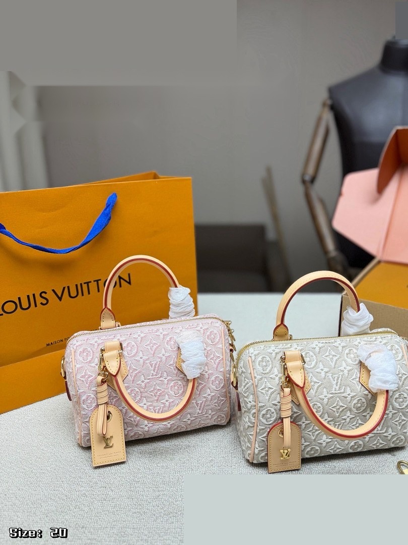 LV Bag 544