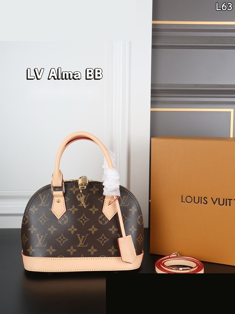 LV Bag 565