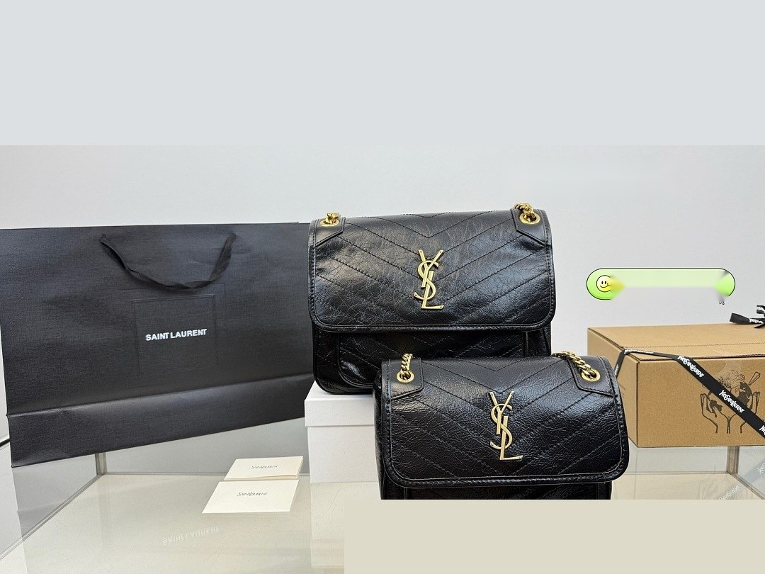 YSL Bag 026